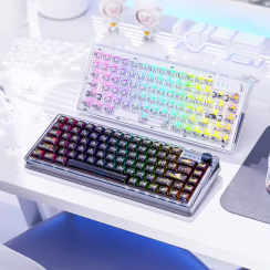 82 Keys Transparent Mechanical Keyboard