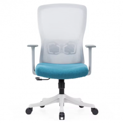 2 Pks Middle Back Mesh Chair